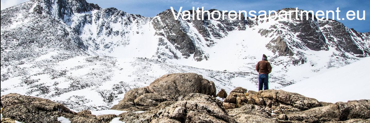 valthorensapartment.eu